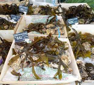 Auslage der Poissonnerie Ty´Breizh