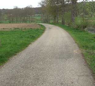 Burgfelsenpfad