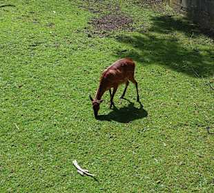 Zoo Wrocław