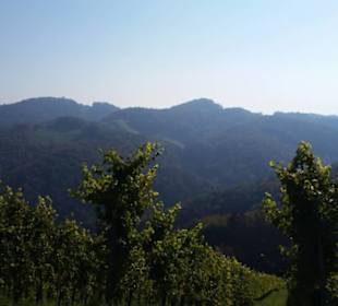 Blick Richtung Kreuzberg 633 m