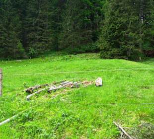 Gegend rechts vom Grünsee