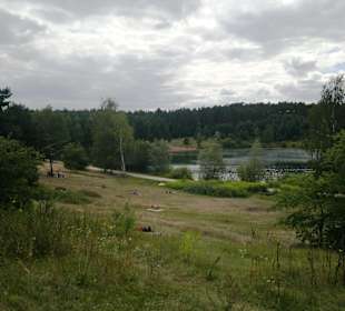 Birkensee im August