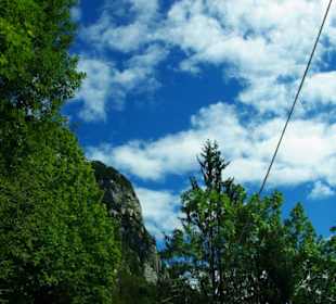Blick mal nach oben gerichtet