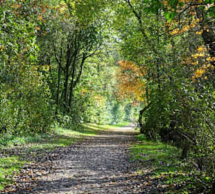 Rundgang um den Drielaker See