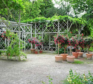 Rundgang durch den Rosengarten