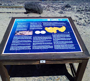 Lehrpfad El Tostón Cotillo in Cotillo