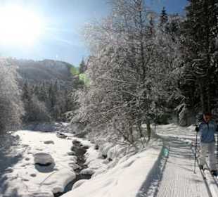 Bergblick - herrliche Loipen -