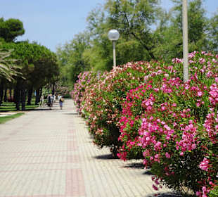 Spaziergang über die Strandpromenade Argelès-Plage