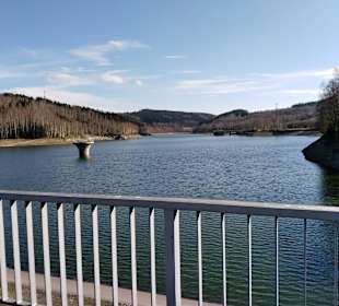 Das Unterbecken von der Staumauer aus