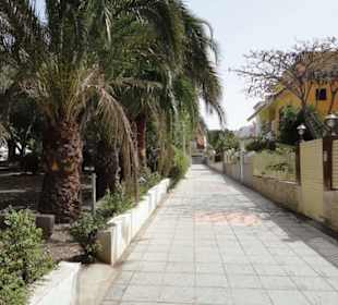 Schöner Park