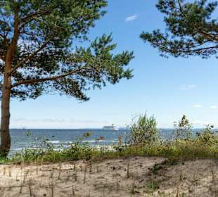 Blick über die Dünen