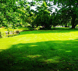 Im Kurpark unterwegs. Wiesen pur