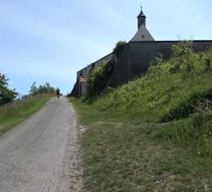 Früchtetrauf - Wurmlinger Kapellenwegle
