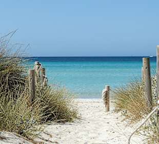 Weg von den Dünen - Es Trenc