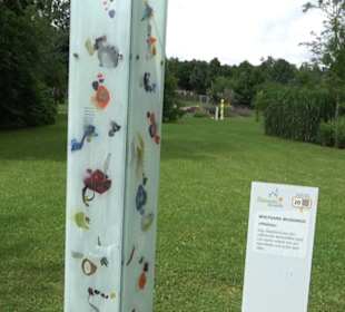 Blühendes Neresheim 2021