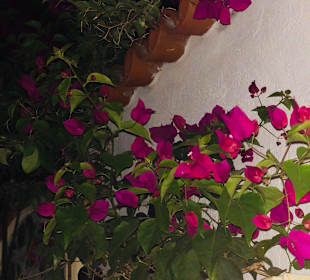 Stadtrundgang Sigacik