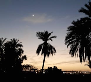 In Luxor