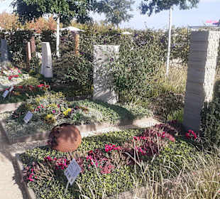 Gelände der Bundesgartenschau 2023