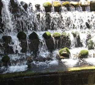 Ulupinar der Ort für Forellenzucht