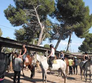 Reiten mit der Rancho Can Picafort Strandritt