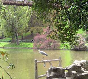 Brücke
