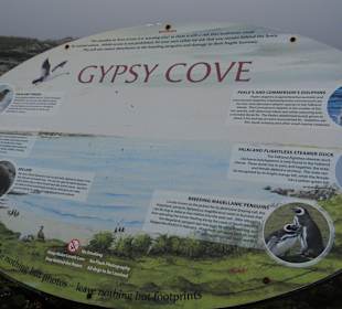 Reichlich tierisches