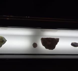 Museum für Naturkunde