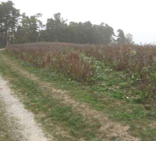 Erlebnisbauernhof und Wildgehege