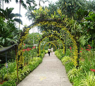 Im Garten der Orchideen