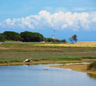 Naturschutzgebiet dei Pini