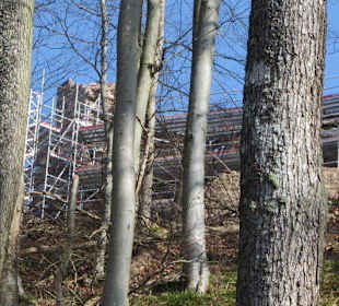 Dauerbaustelle Ruine Meistersel