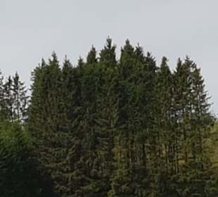 Wandern Schmallenberg