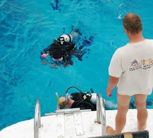 Dolphintour mit Oototo zum Zweiten