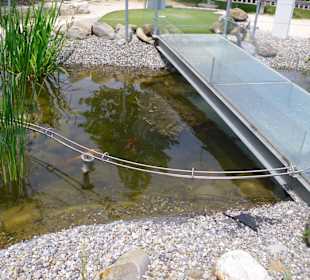 Die Bahn über einen kleinen Teich