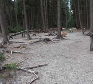 Dinosaurier Museum Altmühltal