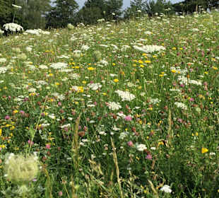 Wandern Grieselstein