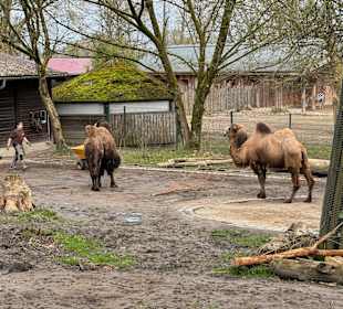 Tiergarten Straubing