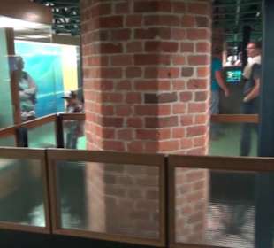 Meeresmuseum Stralsund