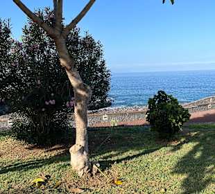 Strand Playa de la Arena