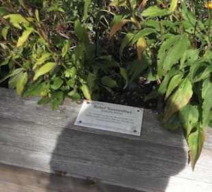 Kräutergarten