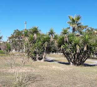 Immer schön mit Büschen bepflanzt