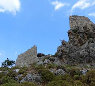 Der Weg ist unwegsam zu den Ruinen