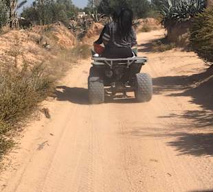 Quad Tour Midoun