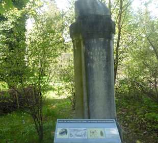 Botanischer Garten München