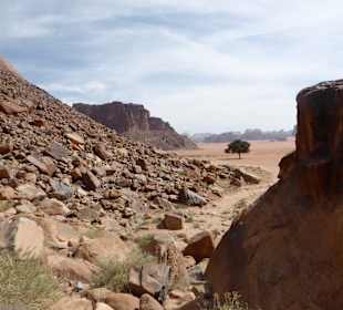 Wüstenlandschaft Wadi Rum