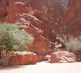 Wadi Rum