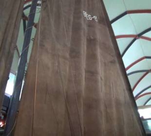 Meeresmuseum Stralsund