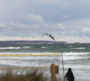 Ausblick