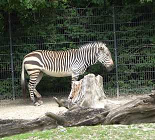 Tierpark Hellabrunn