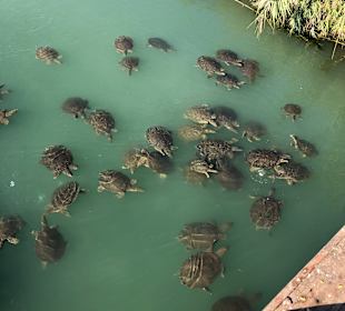 Strandpromenade Evrenseki